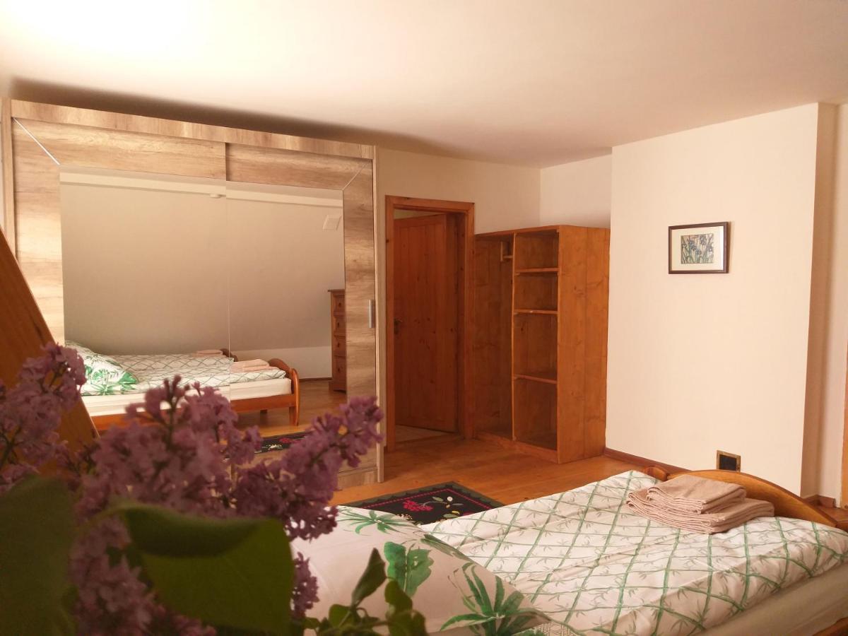 Apartmán Salamandra Krempna Exteriér fotografie