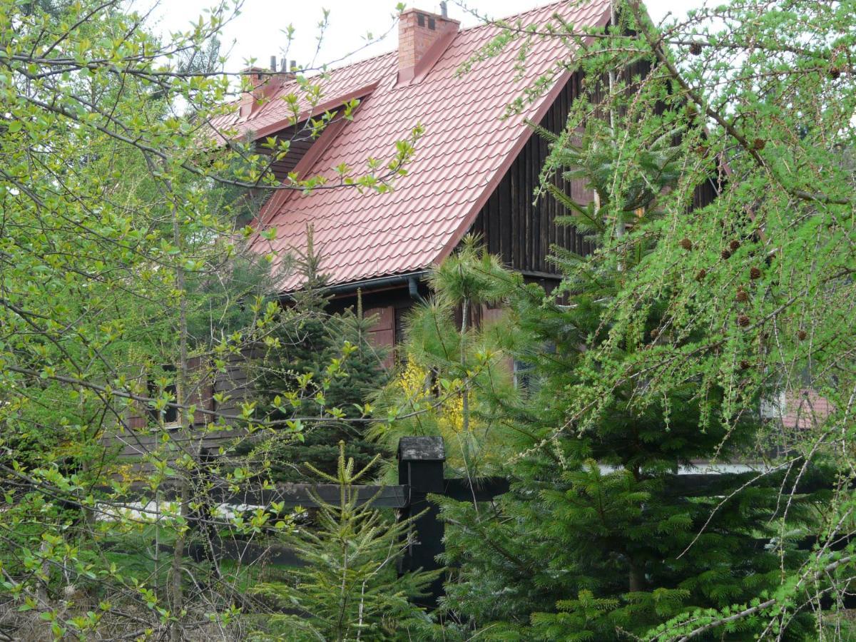 Apartmán Salamandra Krempna Exteriér fotografie